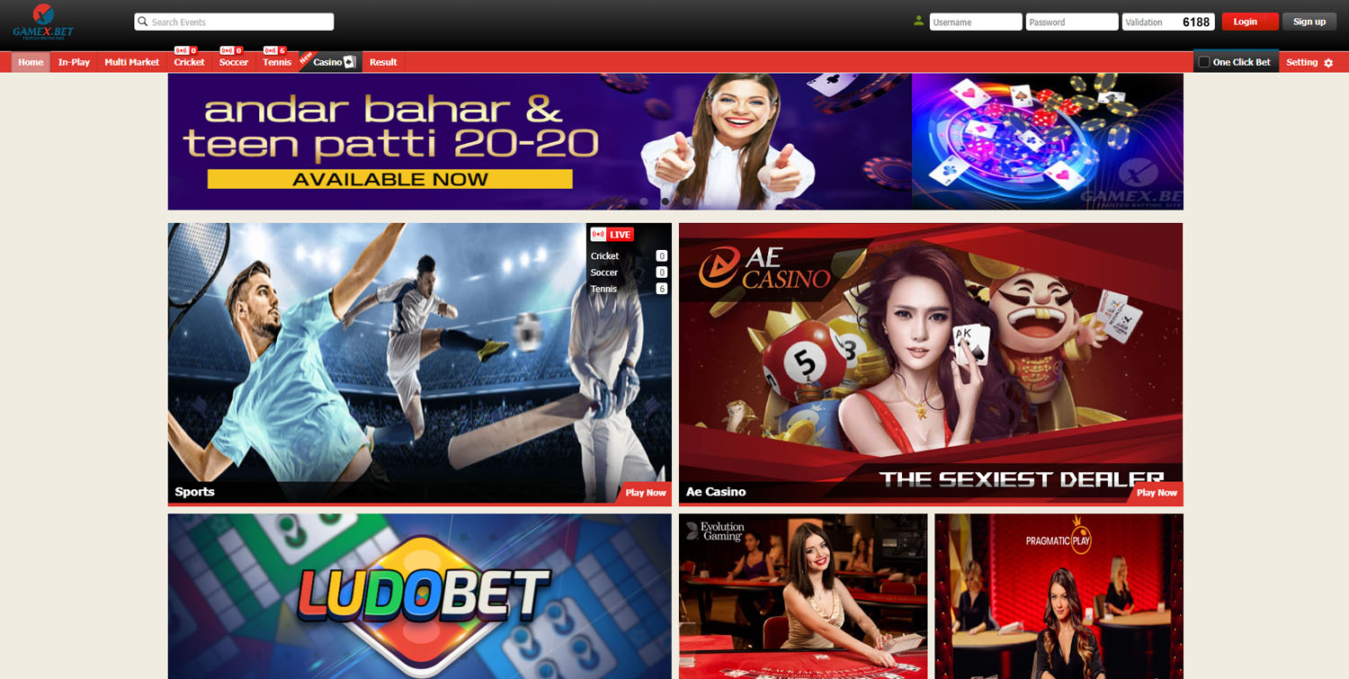 Gamex247 A Bangladeshi-focused betting company with a visually pleasing design